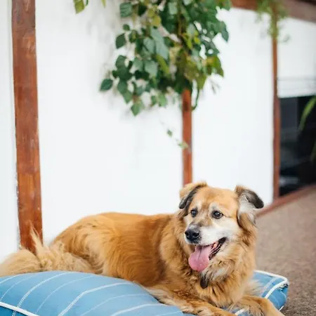 Bed & Breakfast Lulu 3*