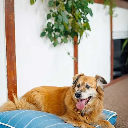 Bed & Breakfast Lulu 3*